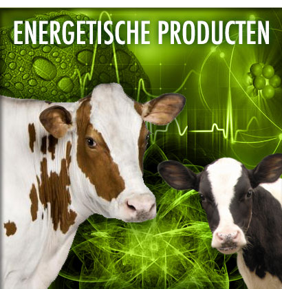energetische producten