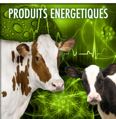 produits énergétiques