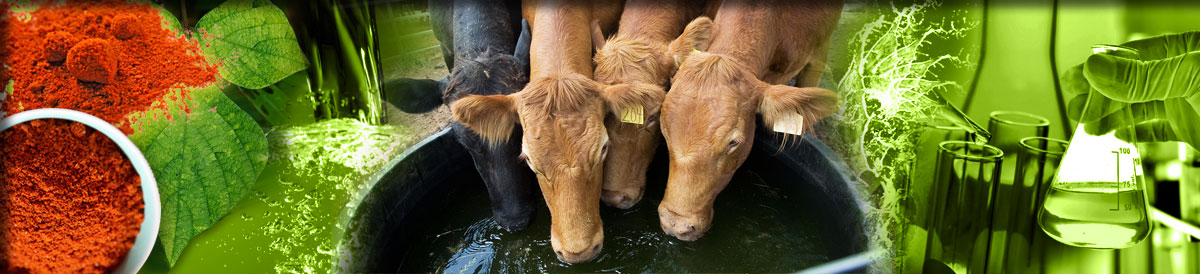 Farm@nutrition - give diseases less chance
