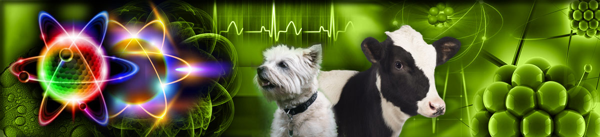 Farm@nutrition - give diseases less chance