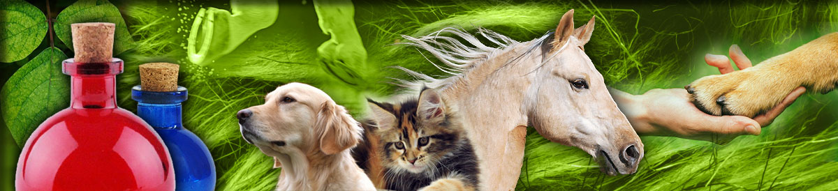 Farm@nutrition - give diseases less chance