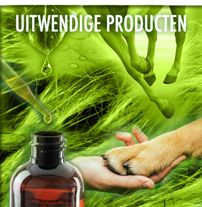 Uitwendige producten